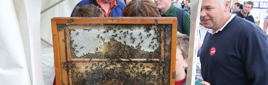 A diverse range of exhibits