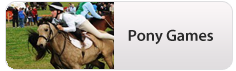 pony