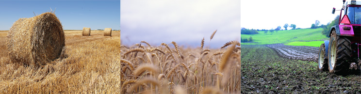 banner-iamge