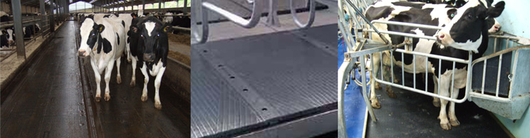 banner-iamge