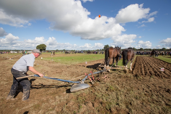 Ploughing Day 3 Secreggan 2017 096