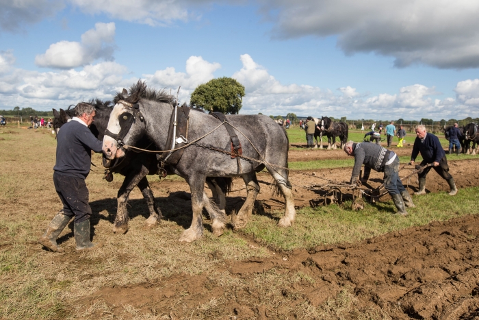 Ploughing Day 3 Secreggan 2017 102