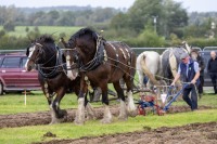 Ploughing 2025, Screggan, Tullamore, Wednesday, 17th September 2025.
Photo: Alf Harvey.