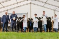 Irish-Aberdeen-Angus-Winners