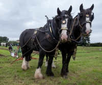 Ploughing 2016 High Res ALF 356