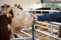 Ploughing 2017-043