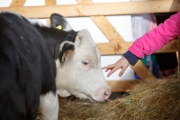 Ploughing 2017-044