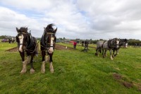 Ploughing-2025-Wednesday-20