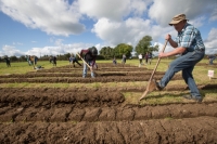 Gerry Mullins, Clare competing in the Loy at the National Ploughing Championships in Screggan.
Picture: Alf Harvey.