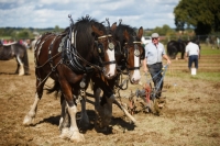 Ploughing Day 3 Secreggan 2017 095