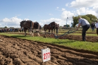 Ploughing Day 3 Secreggan 2017 097