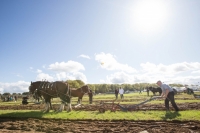 Ploughing Day 3 Secreggan 2017 098