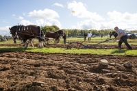 Ploughing Day 3 Secreggan 2017 099