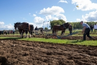 Ploughing Day 3 Secreggan 2017 100