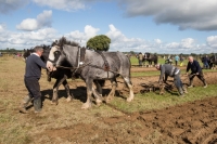 Ploughing Day 3 Secreggan 2017 102