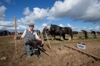 Ploughing Day 3 Secreggan 2017 103