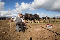 Ploughing Day 3 Secreggan 2017 104