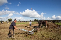 Ploughing Day 3 Secreggan 2017 105