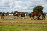 Ploughing Day 3 Secreggan 2017 094