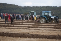 Day 2 Ratheniska ploughing 2014 129