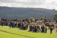 Day 2 Ratheniska ploughing 2014 139