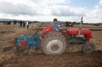 Day 2 Ratheniska ploughing 2014 14