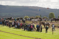 Day 2 Ratheniska ploughing 2014 140