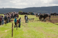Day 2 Ratheniska ploughing 2014 142