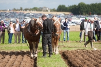 Day 2 Ratheniska ploughing 2014 145