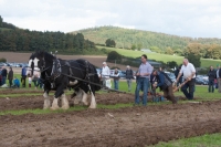 Day 2 Ratheniska ploughing 2014 146
