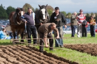 Day 2 Ratheniska ploughing 2014 148