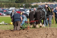 Day 2 Ratheniska ploughing 2014 149