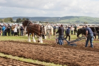 Day 2 Ratheniska ploughing 2014 152