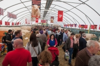 Day 2 Ratheniska ploughing 2014 37