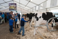 Day 2 Ratheniska ploughing 2014 43