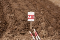 Day 2 Ratheniska ploughing 2014 84