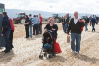 Day 2 Ratheniska ploughing 2014 94