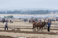 Work underway at the National Ploughing Championships at Ratheniska, Co Laois.
Picture: Alf Harvey/hrphoto.ie