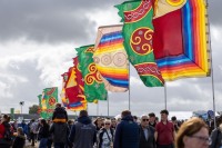 Ploughing 2025, Screggan, Tullamore, Tuesday 16th September 2025.
Photo: Alf Harvey.
