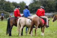 Ploughing 2025, Screggan, Tullamore, Tuesday 16th September 2025.
Photo: Alf Harvey.