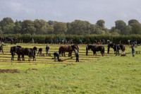 Ploughing-2025-Wednesday-033
