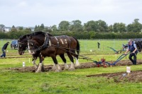Ploughing-2025-Wednesday-039