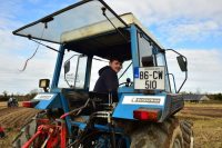 Carlow-Novice-8