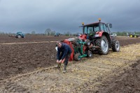 Garry Ireland ploughing at the Laois Ploughing match on the lands of the Duggan family in Durrow.
Photo: Alf Harvey.