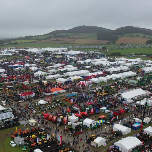 71,800 Visitors at Day 2 of this year