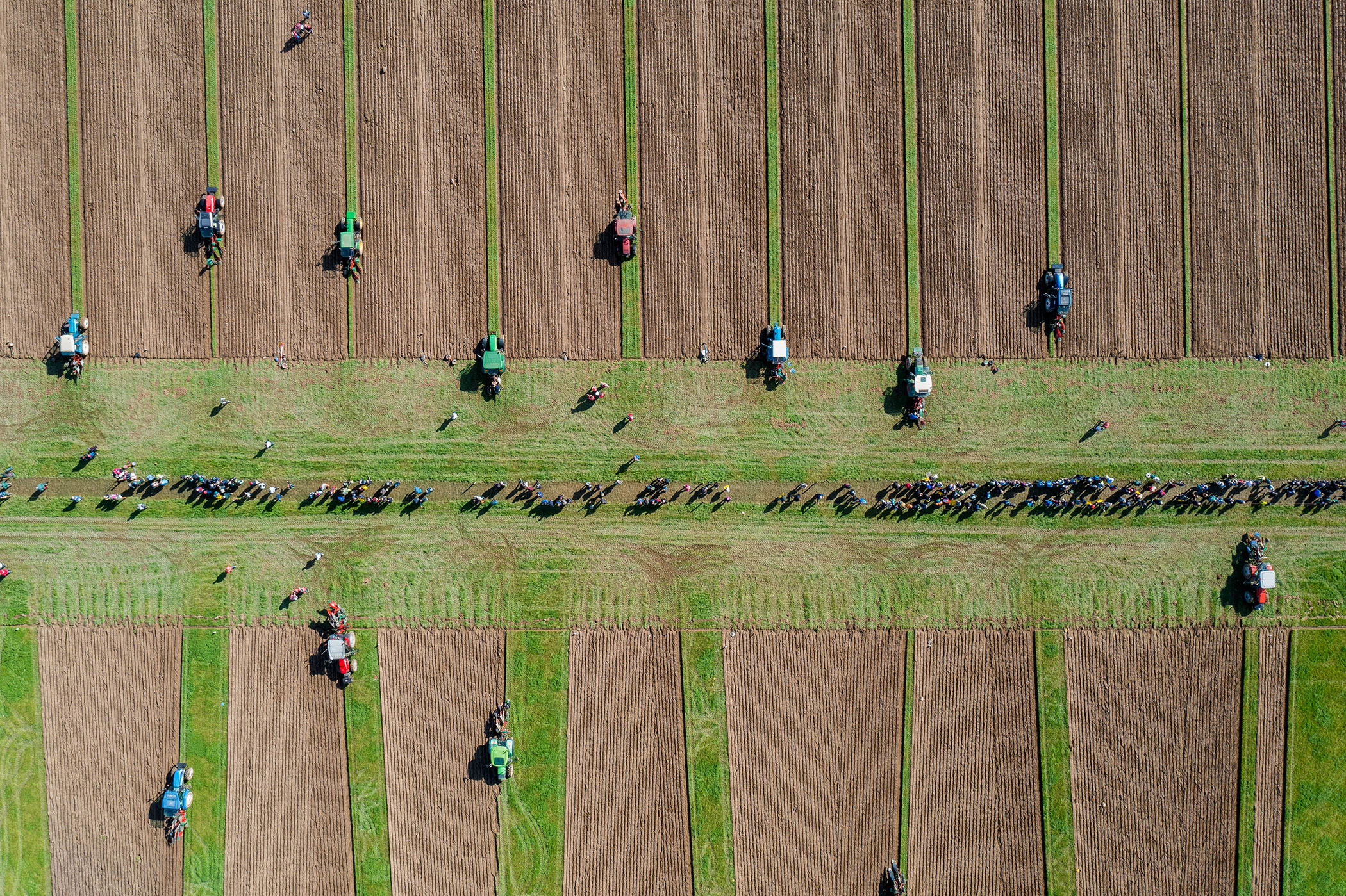 Ploughing Championships 2025 Venue Confirmed National Ploughing Association